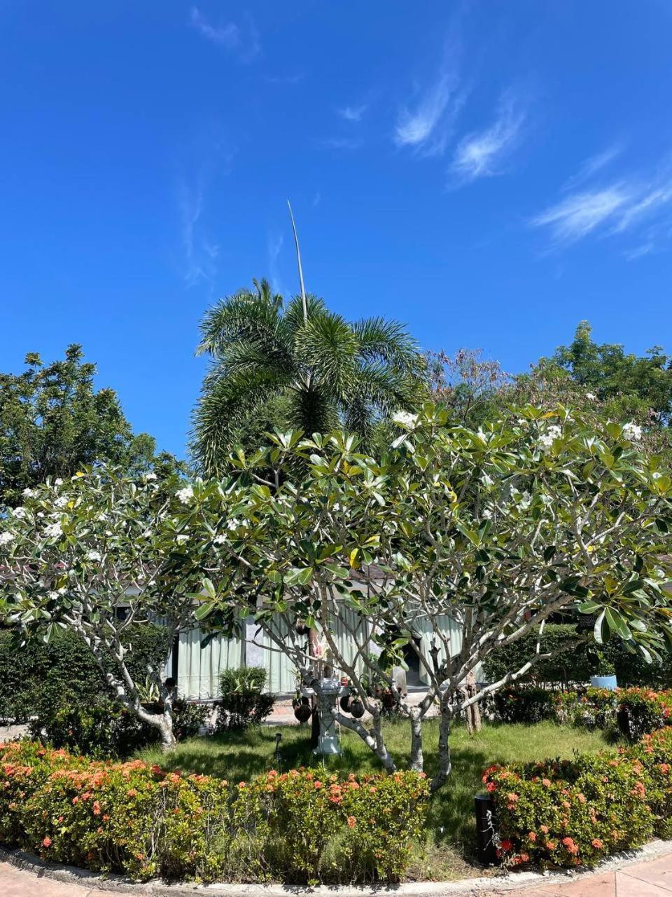 Maikhao Island House Guest house